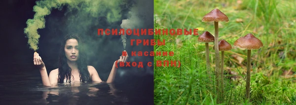 ALPHA-PVP Аркадак