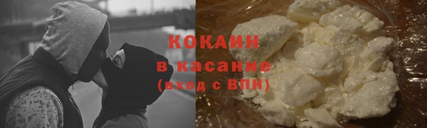 гидра Арсеньев