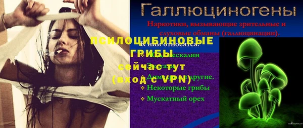 гидра Арсеньев
