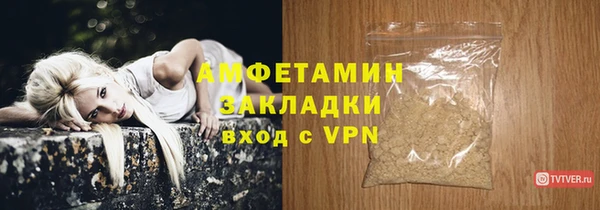 гидра Арсеньев