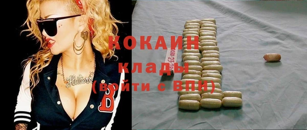гидра Арсеньев